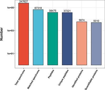 Proteomic Analysis of the Intestinal Resistance to Thyroid Hormone Mouse Model With Thyroid Hormone Receptor Alpha Mutations